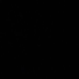 Meet your Posher, Kendrick